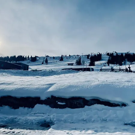 شقة Hoelzlbauer 2