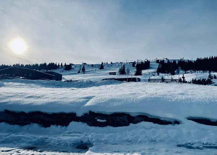 Apartment Hölzlbauer 2