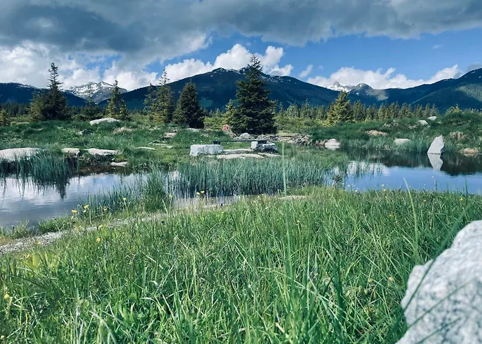 Hölzlbauer 2 Apartment *